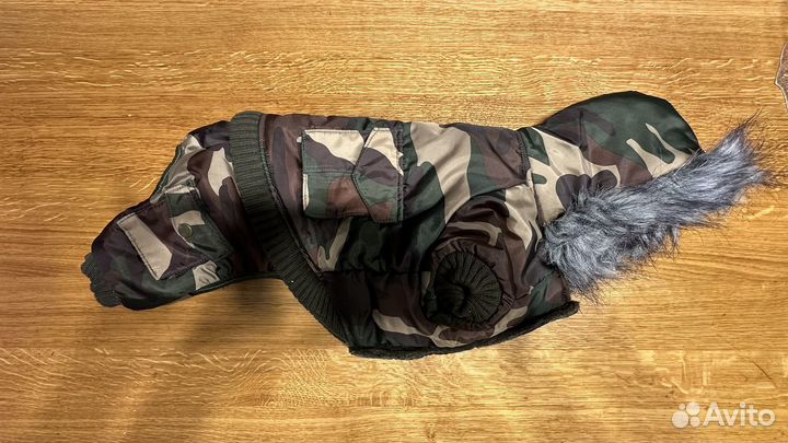 Одежда для средних собак