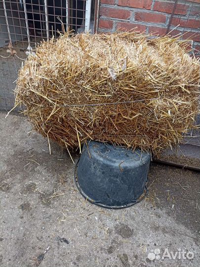 Сено люцерна+луговое, солома