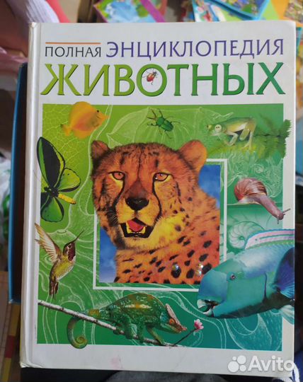 Энциклопедия