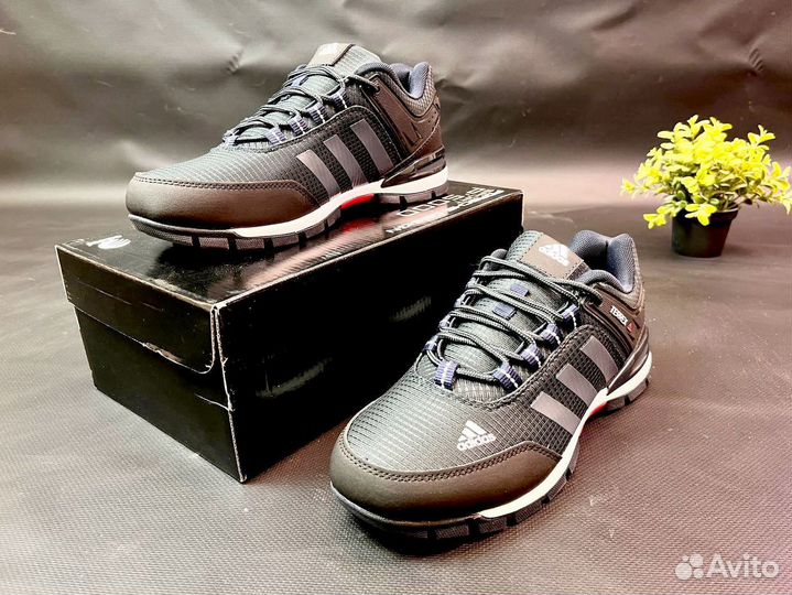 Кроссовки Adidas Terrex