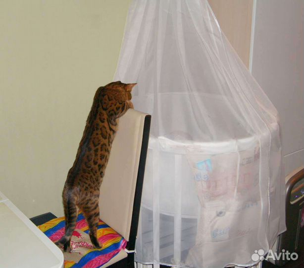 Кроватка трансформер ellipse