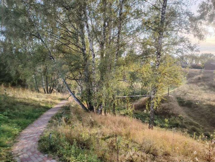 Участок 20 сот. (личное подсобное хозяйство (лпх))