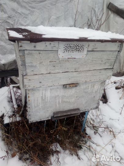 Ульи для пчел