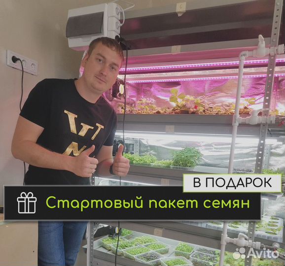 Гидропонная ферма
