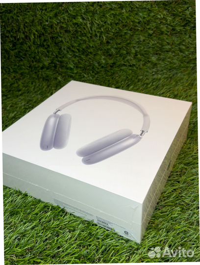 Apple Airpods max