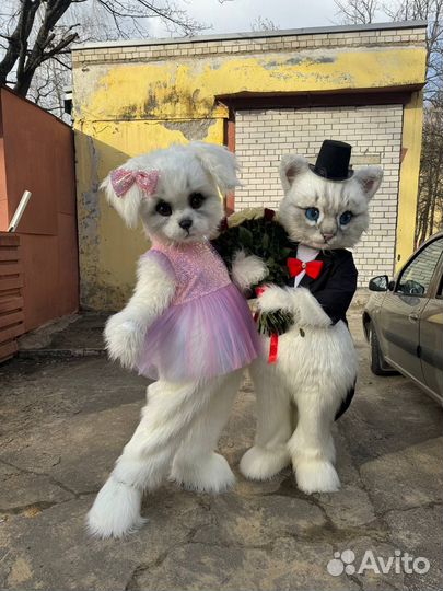 Праздники, мероприятия, анимация