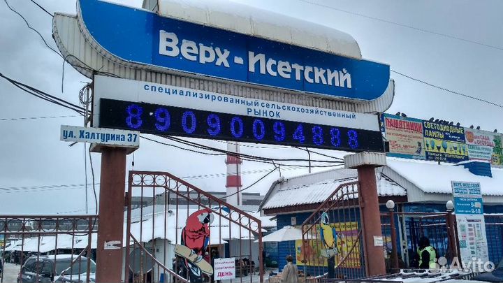 Светодиодные экраны, светодиодные табло, бегущие с