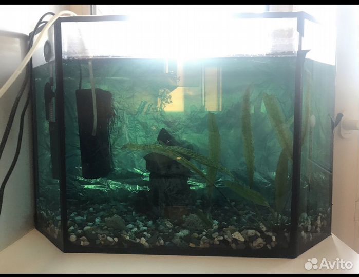 Аквариум