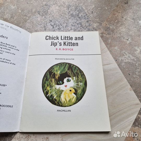 Chick little and Jips kitten. Маленький цыпленок и