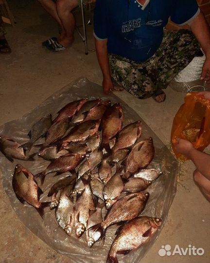 База отдыха и рыбалки