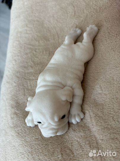 Собаки антистресс