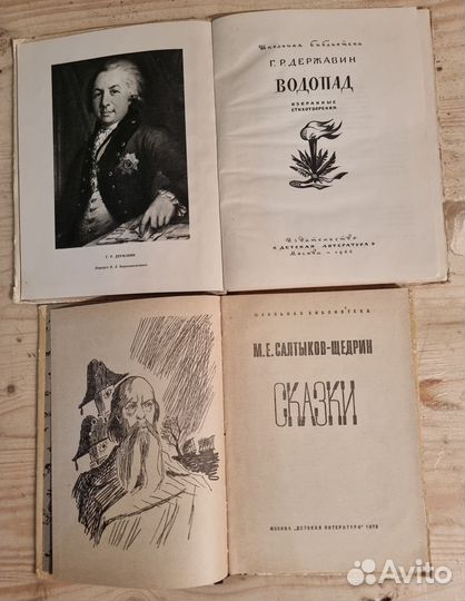 Державин Водопад Салтыков-Щедрин Сказки 2 книги