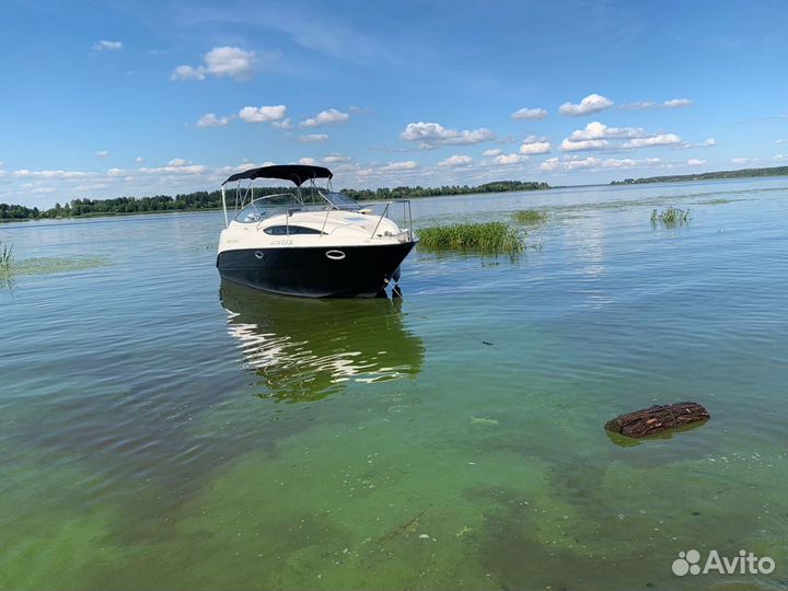 Bayliner 245