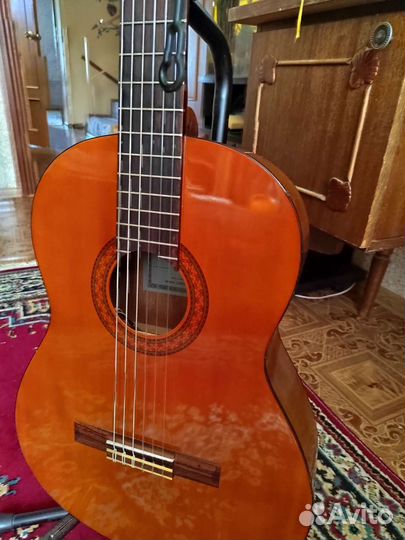 Трансклассическая гитара (трансакустическая)