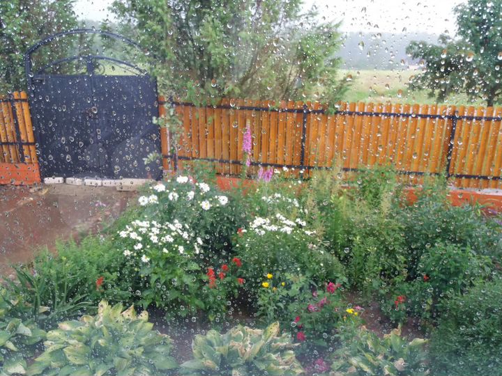 Дом 123 м² на участке 50 сот.