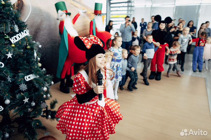 Аниматоры, Шоу Мыльных Пузырей, Серебряное шоу