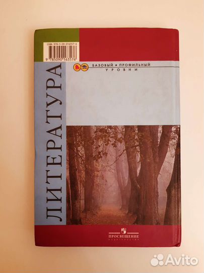 Учебник литература 10 класс 1 часть
