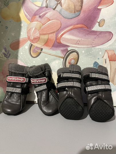Комбинезон, ботинки, шлейка для собаки