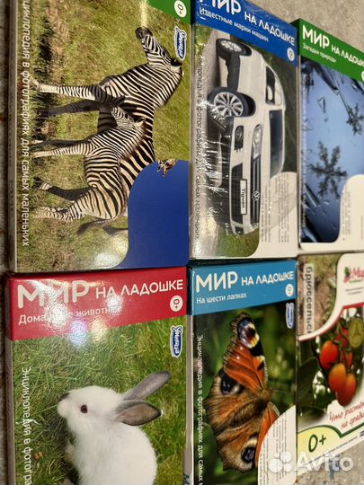 Умница Мир на ладошке