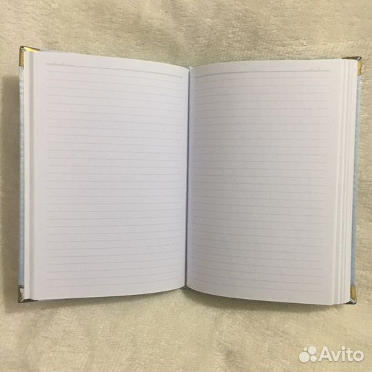 Ежедневник недатированный