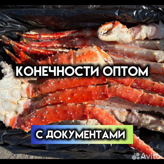 Конечности Камчатского краба от постащика/оптом