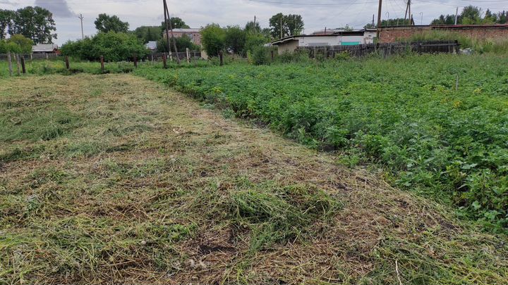 Дом 60 м² на участке 17 сот.