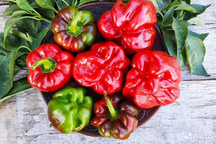 Перец сладкий Бэнкси (семена)