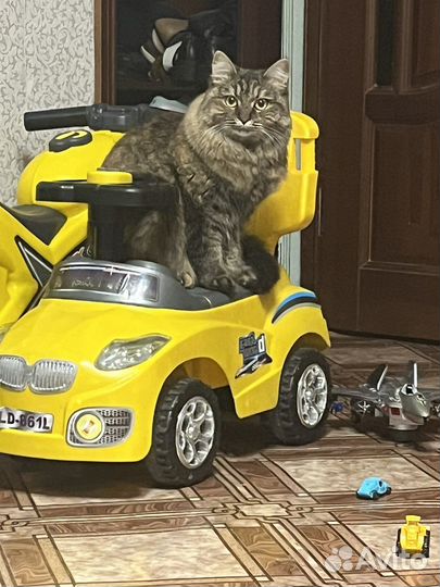 Развивающий автомобиль,толокар