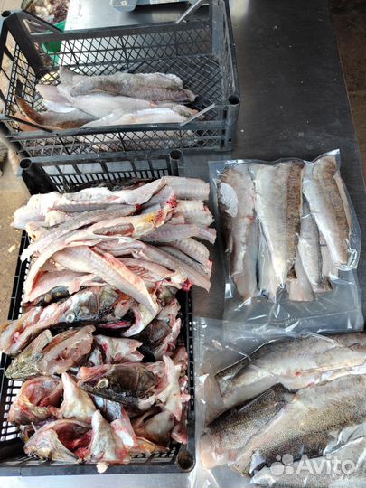 Филе судака ладожского на коже премиум охл и с/м