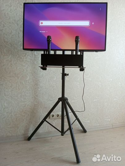 Аренда караоке/выездное караоке