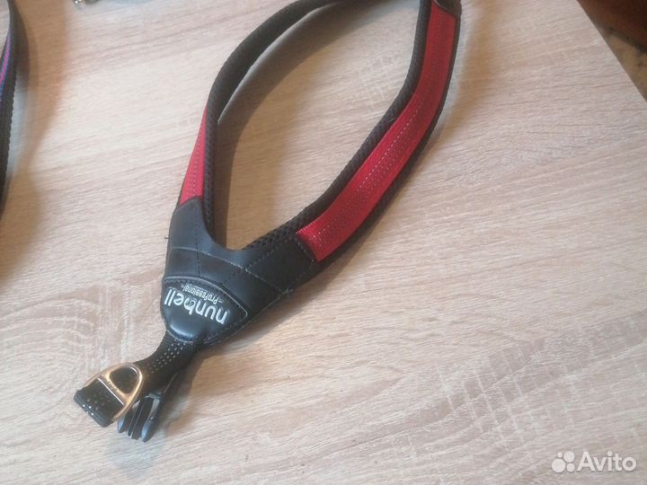 Поводок,шлейка,намордник для собак мал. пород