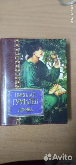 Поэзия.Н.Гумилев, И.Бунин, И.Губерман