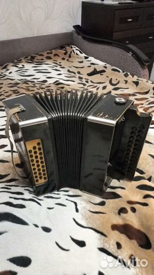 Гармонь СССР