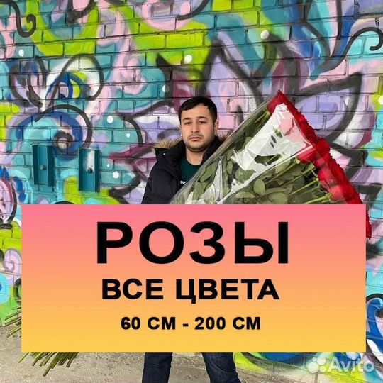 Цветы розы, роза с доставкой 25 51 101 1001 Москва