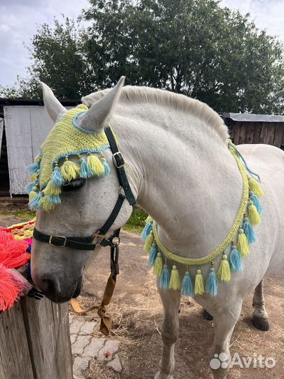 Набор для пони