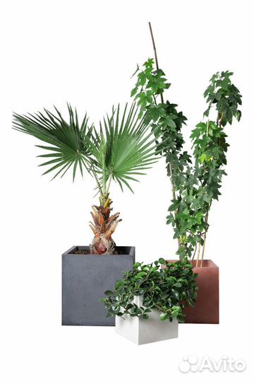 Кашпо из бетона в наличии и под заказ