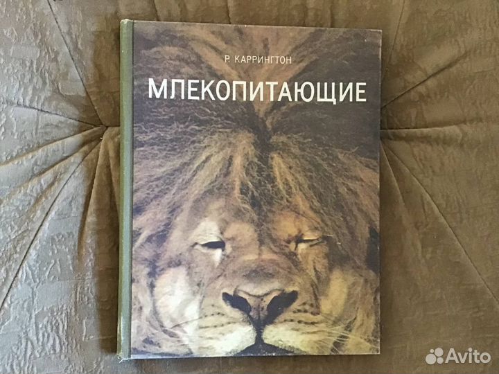 Подборка познавательных книг о природе и животных