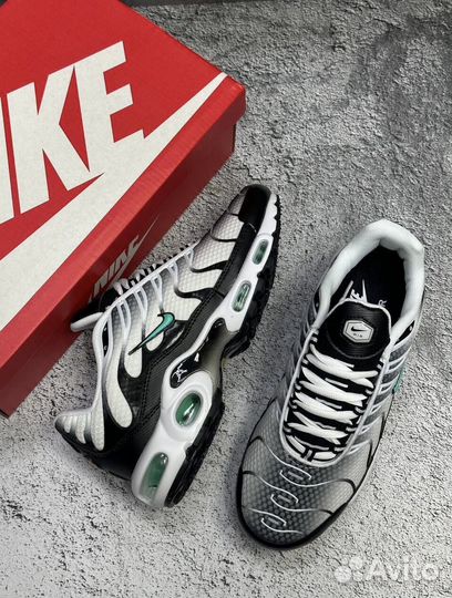 Кроссовки мужские Nike Air Max tn Plus