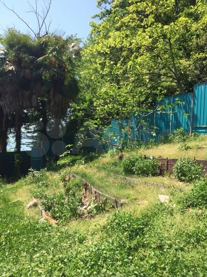 Участок 6 сот. (СНТ, ДНП)