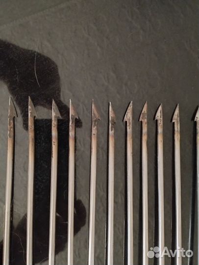 Охота и рыбалка