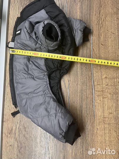 Одежда для средних собак