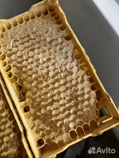 Мед в сотах 2023 мини-рамки