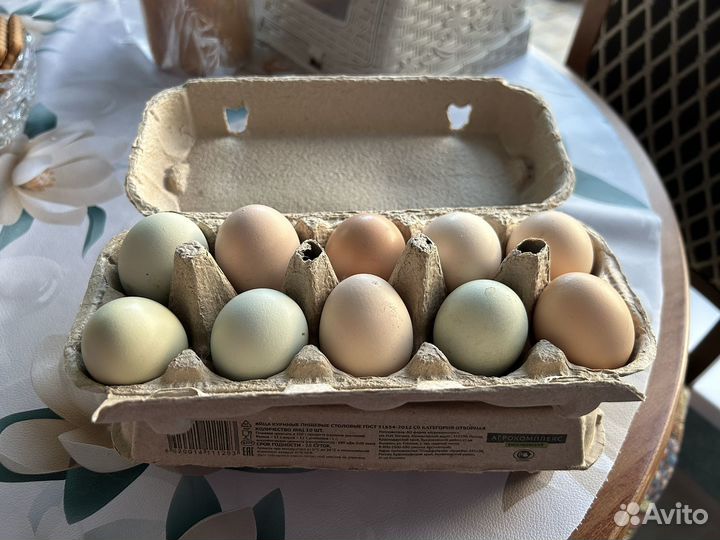 Домашние куриные яйца