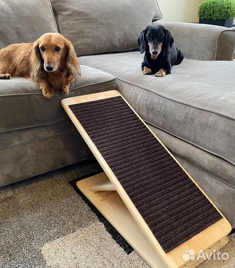 Пандус для собак