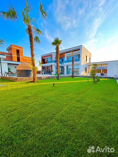 Рулонный газон с укладкой