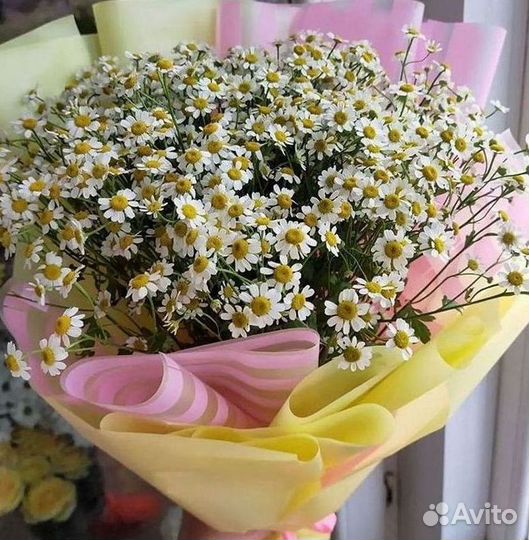 Букеты. Доставка ромашек