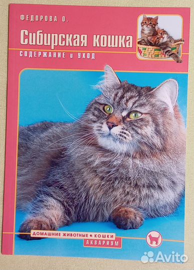 Художественные книги про котов и кошек