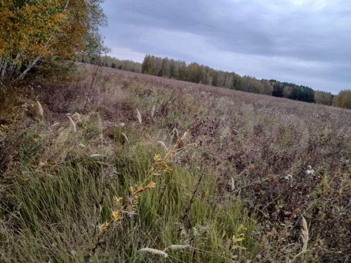 Участок 16,8 га (СНТ, ДНП)