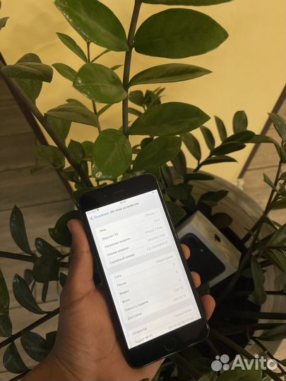iPhone 7 Plus, 256 ГБ