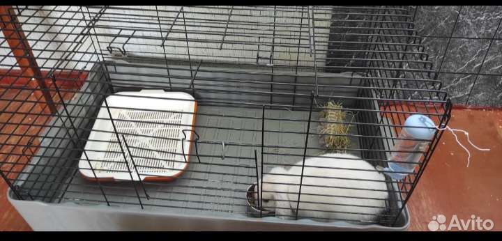 Клетка для грызунов большая
